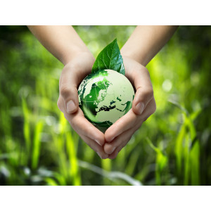 Herman Miller Aeron Chair (Size B) (Used) (Refurbished) - Go Green Product Picture 4